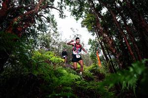 BIB: 
                            <button type="button" onclick="openModal(26201417)" class="btn btn-primary btn-sm float-right btn-popup" data-toggle="modal" data-target=".modal-high-quality">
                        <i class="fas fa-shopping-cart"></i> Add to Cart
                    </button>
                                            <button type="button" onclick="isThisMe(26201417, true)" class="btn btn-success btn-sm float-right btn-popup btn-isme hidden" data-toggle="tooltip" data-placement="bottom" title="นี่คือรูปของคุณใช่ไหม คลิกที่นี่เพื่อเอาเข้าอัลบั้ม">
                        <i class="fas fa-plus"></i> Add to album
                    </button>
                    <button type="button" onclick="isThisMe(26201417, false)" class="btn btn-warning btn-sm float-right btn-popup btn-isnotme hidden">
                        <i class="fas fa-ban"></i> Remove from album
                    </button>